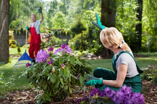 Soft landscaping project showing planting beds and lawn work in an Islington garden