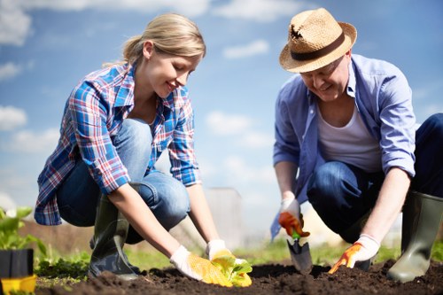 Free quote review for an Islington garden maintenance job