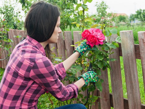 Garden landscaping ideas for an Islington townhouse garden