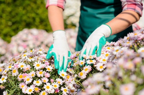 Secure landscaping payment review before final confirmation