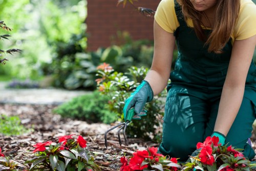 Screen-reader friendly landscaping content structure for Islington users