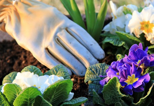 Low-maintenance planting and planters suitable for soft landscaping in Islington