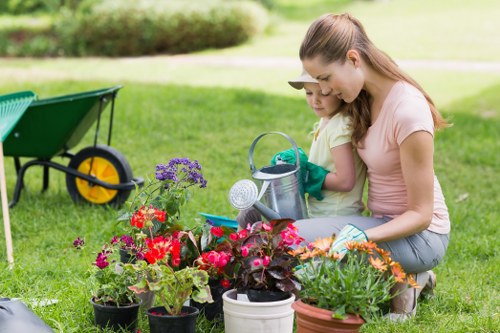 Annual policy review for ethical landscaping operations