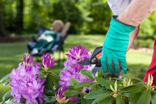 Final written outcome for a resolved landscaping complaint