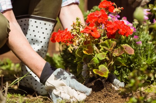 Landscaping payment options displayed with trusted secure methods