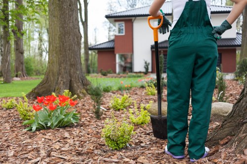 Local garden drainage assessment for a residential property in Islington